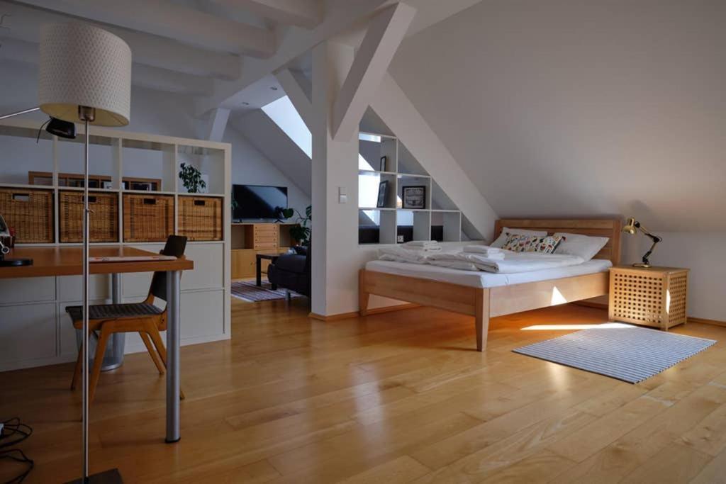 Loft Appartement Vienne