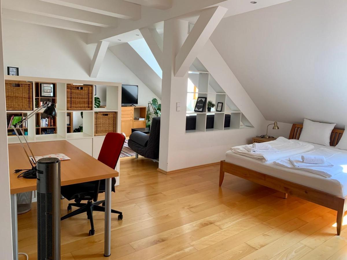 Appartement Loft Vienne