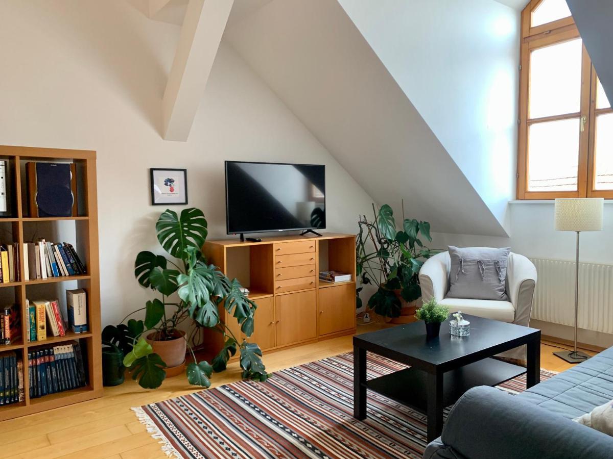 Appartement Loft